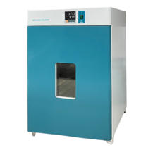 DNP-Series Electrothermal Incubator (Stable Temperature)