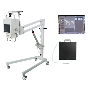 DR-100 Digital Radiography System