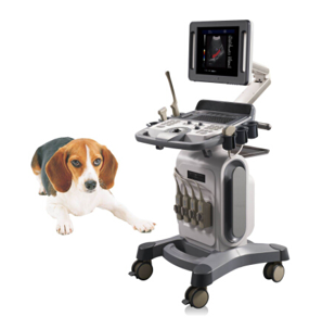 US-K10 Color Doppler Ultrasound Scanner