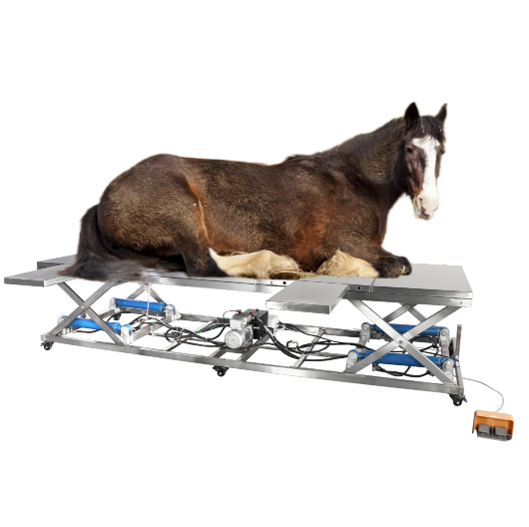 OT-005 Veterinary Operating Table (Electric-hydraulic, for bull and horse)