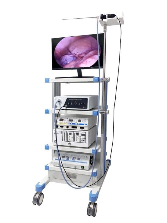 Sistem laparoscopic endoscopic VET