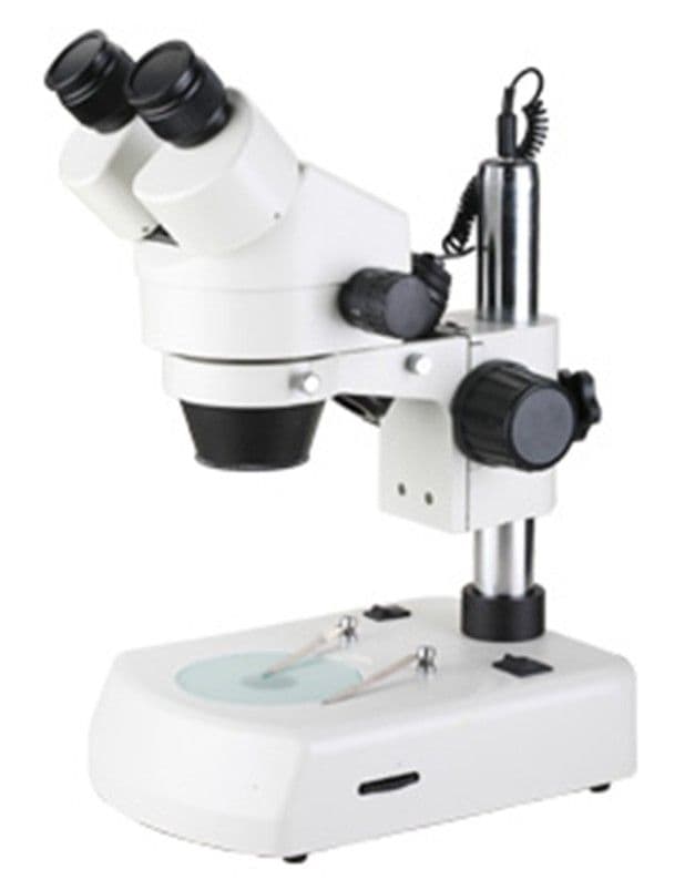 Stereoscopic Microscope