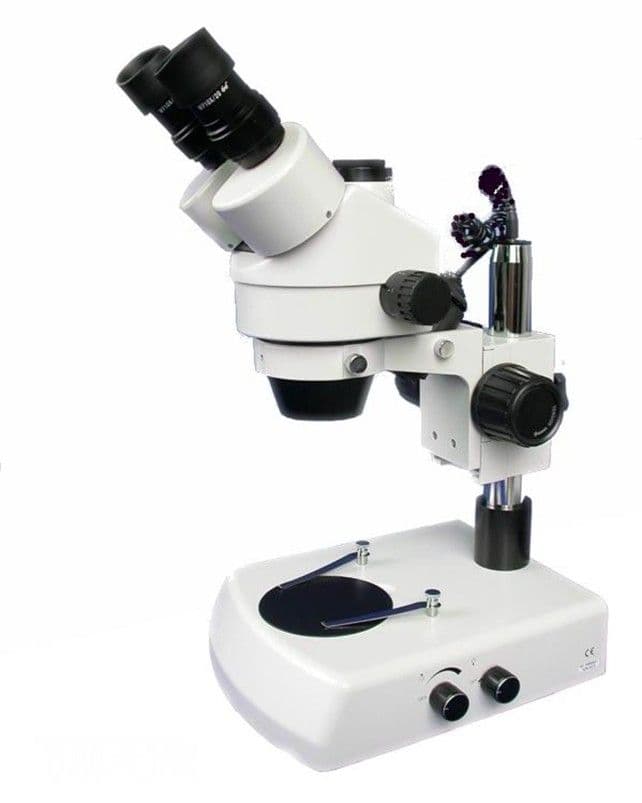 Stereoscopic Microscope