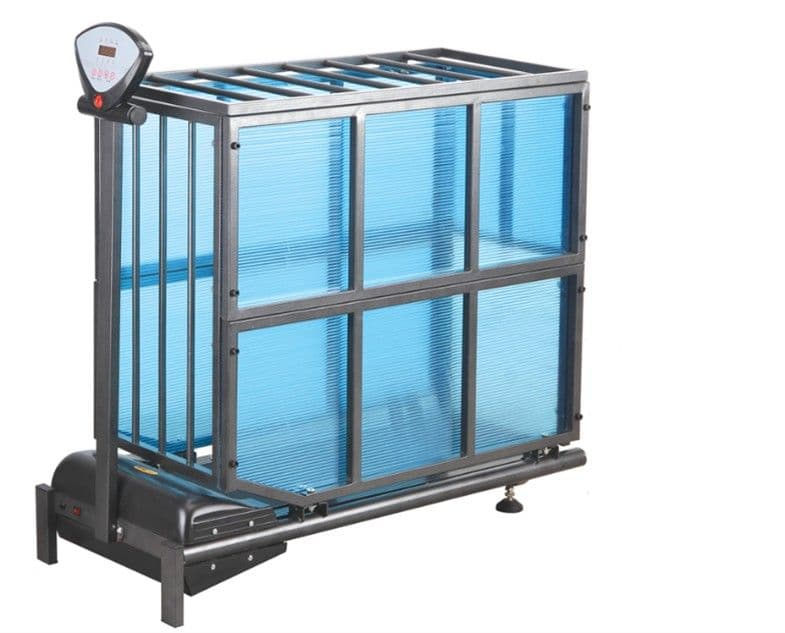 Pet Treadmill