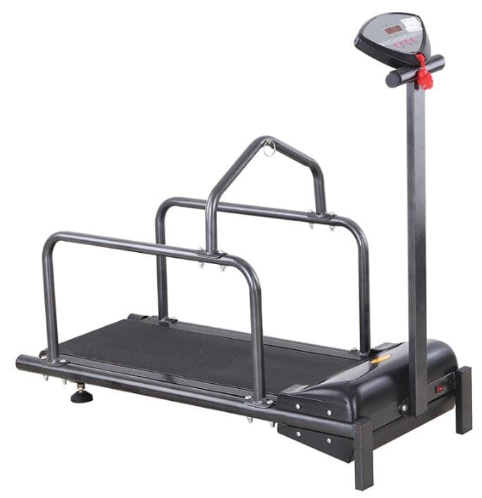 Pet Treadmill
