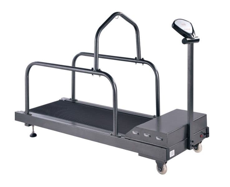 Pet Treadmill