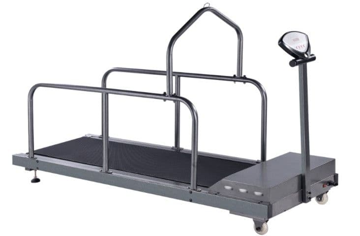 Pet Treadmill