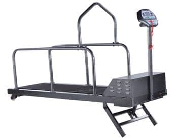 Pet Treadmill
