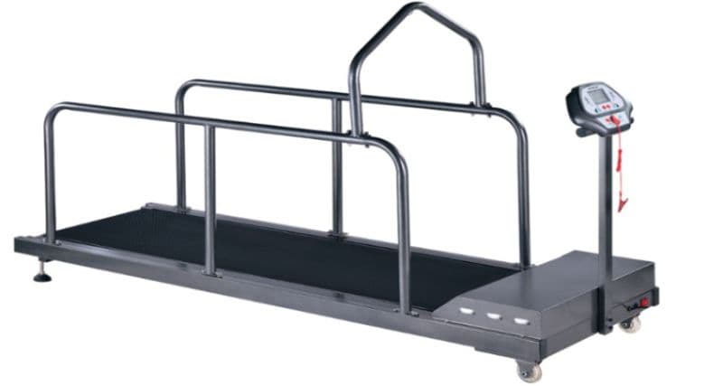 Pet Treadmill