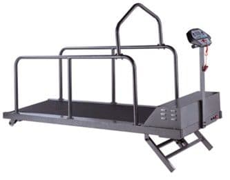 Pet Treadmill