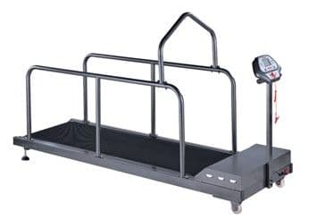 Pet Treadmill