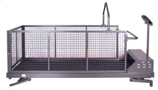 Pet Treadmill