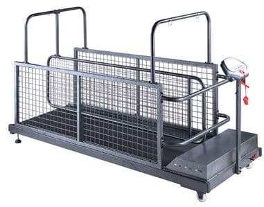 Pet Treadmill