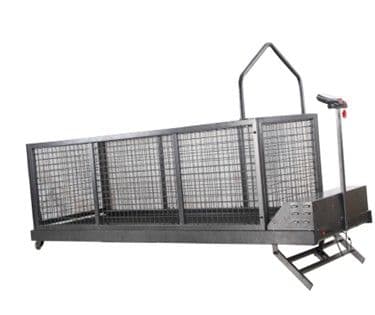 Pet Treadmill